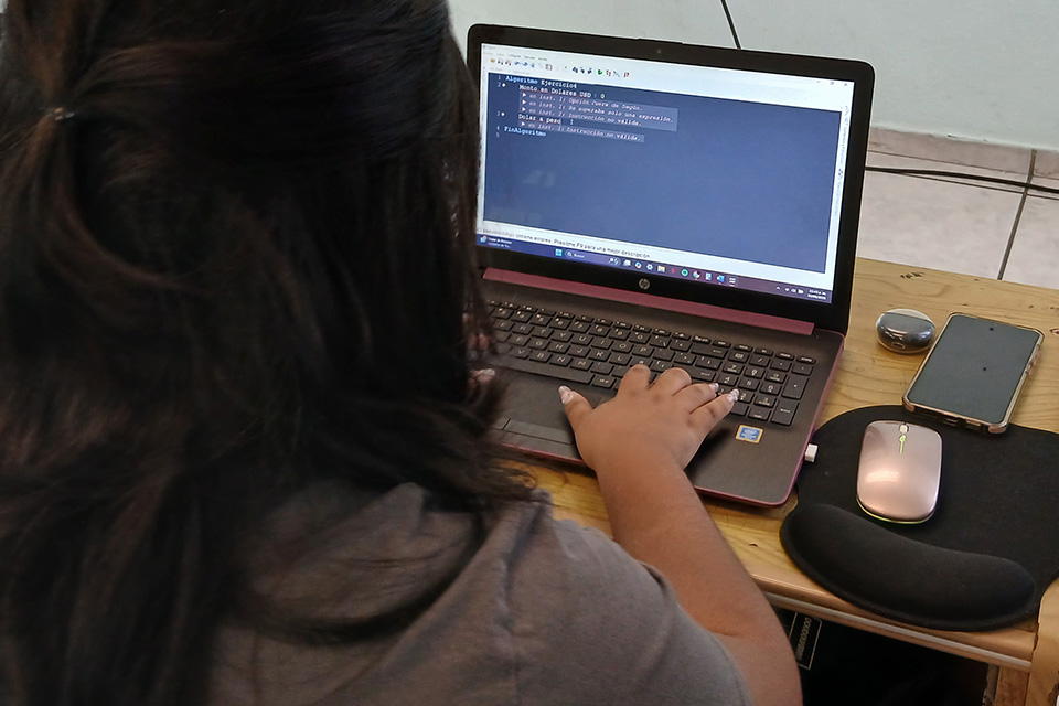 Programación de sistemas de información