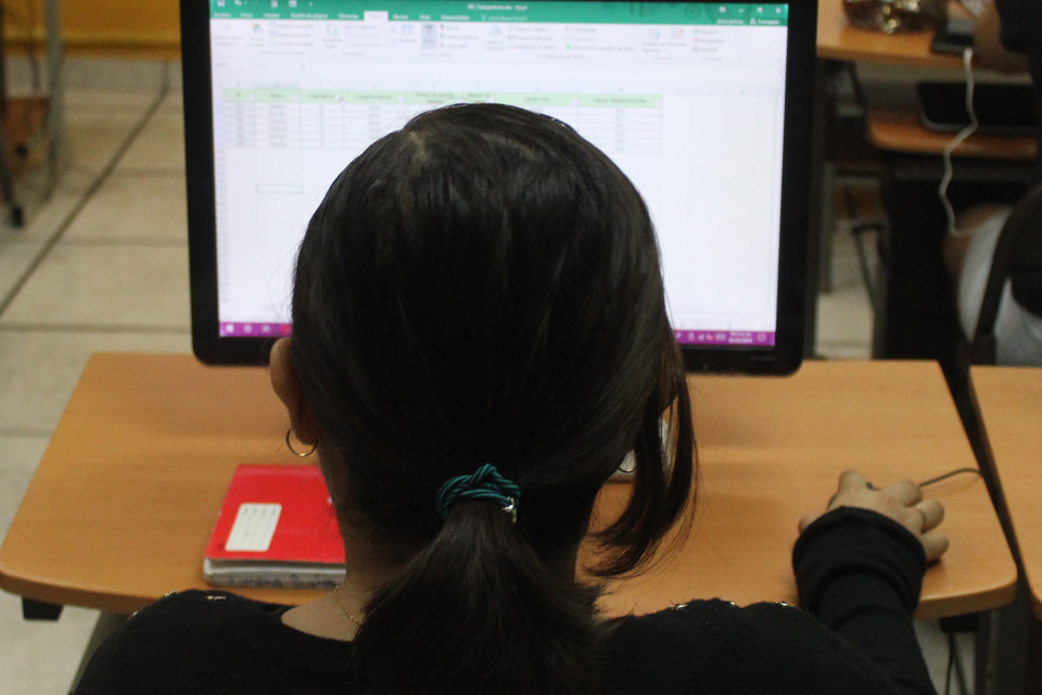 Comprendo los conceptos básicos de la hoja de cálculo y utilizo fórmulas y funciones