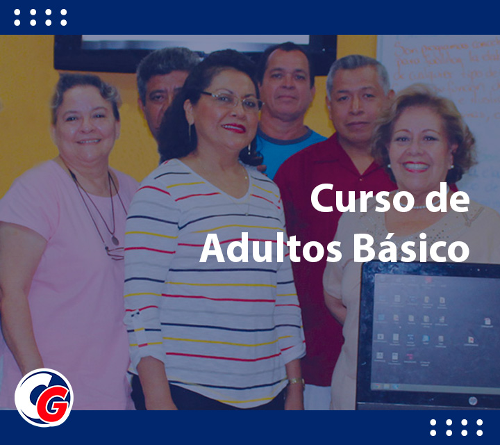 Curso de adultos básico
